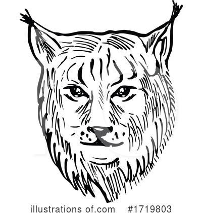 Royalty-Free (RF) Lynx Clipart Illustration by patrimonio - Stock Sample #1719803