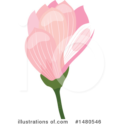 Royalty-Free (RF) Magnolia Clipart Illustration by Cherie Reve - Stock Sample #1480546