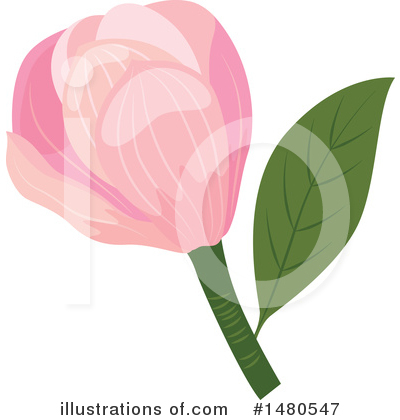 Magnolia Clipart #1480547 by Cherie Reve