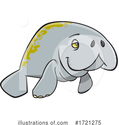 Manatee Clipart #1721275 by toonaday