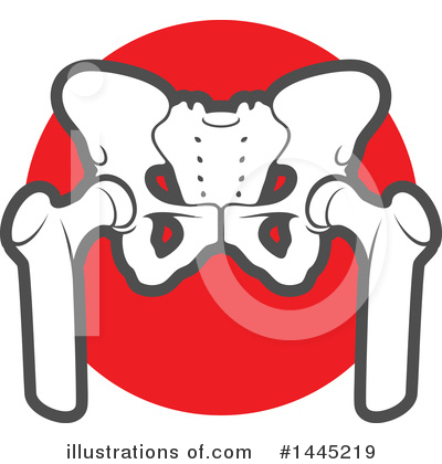 Pelvis Clipart #1445219 by Vector Tradition SM