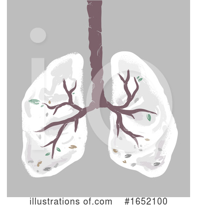 Lungs Clipart #1652100 by BNP Design Studio