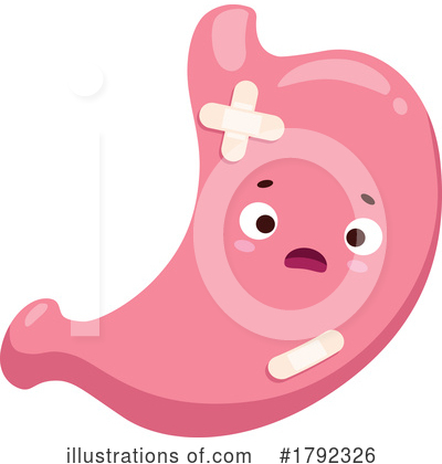 Stomach Clipart #1792326 by Vector Tradition SM