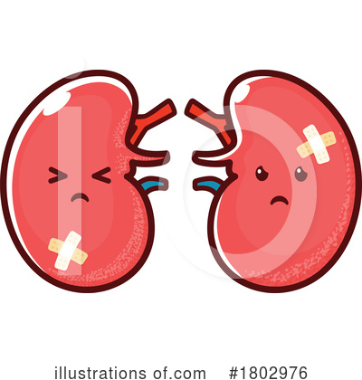 Kidneys Clipart #1802976 by Vector Tradition SM