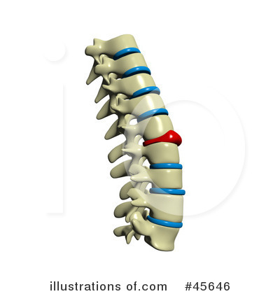 Spine Clipart #45646 by Michael Schmeling