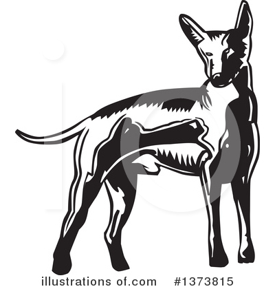 Royalty-Free (RF) Mexican Hairless Dog Clipart Illustration by David Rey - Stock Sample #1373815