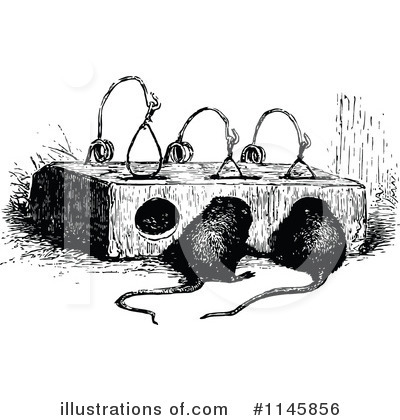 Rodent Clipart #1145856 by Prawny Vintage