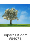 Money Tree Clipart #84071 by Mopic