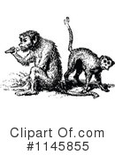 Monkey Clipart #1145855 by Prawny Vintage