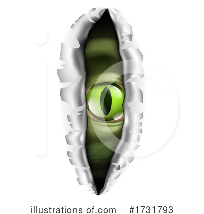 Eye Clipart #1731793 by AtStockIllustration