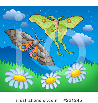 Moth Clipart #221245 by visekart
