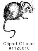 Mouse Clipart #1120810 by Prawny Vintage
