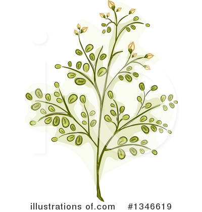 Royalty-Free (RF) Naturopathic Clipart Illustration by BNP Design Studio - Stock Sample #1346619