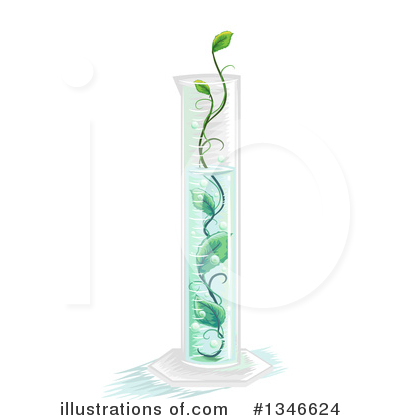 Herbs Clipart #1346624 by BNP Design Studio
