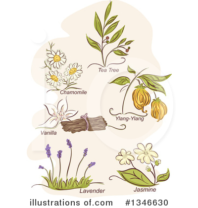 Lavender Clipart #1346630 by BNP Design Studio