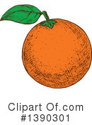 Navel Orange Clipart #1390301 by Vector Tradition SM