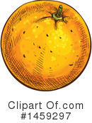 Navel Orange Clipart #1459297 by Vector Tradition SM