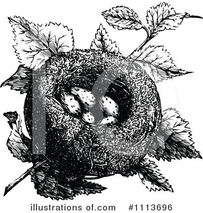 Bird Nest Clipart #1113696 by Prawny Vintage
