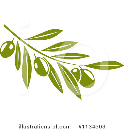 Olive Branch Clipart #1134503 by Vector Tradition SM