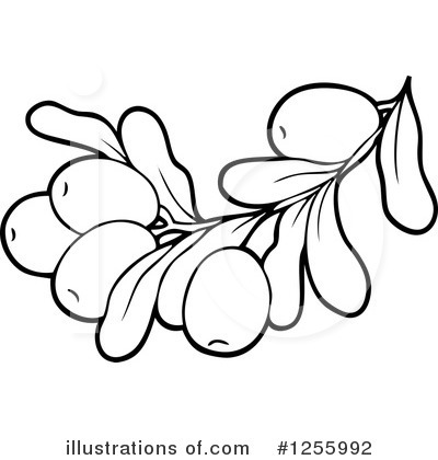 Royalty-Free (RF) Olives Clipart Illustration by visekart - Stock Sample #1255992
