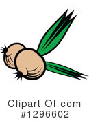 Onion Clipart #1296602 by Vector Tradition SM