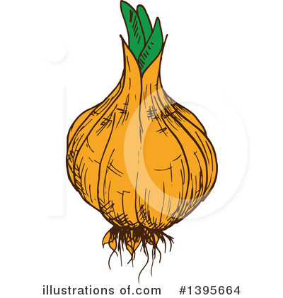 Yellow Onion Clipart #1395664 by Vector Tradition SM