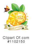 Oranges Clipart #1102150 by merlinul