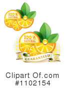 Oranges Clipart #1102154 by merlinul