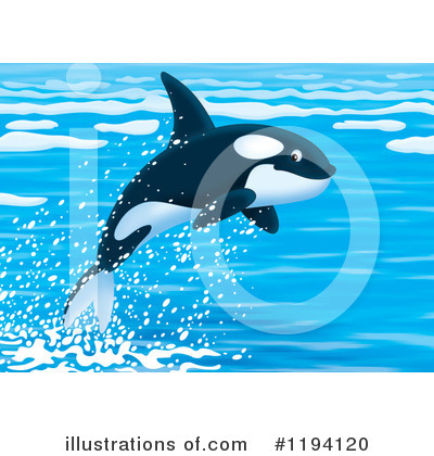 Royalty-Free (RF) Orca Clipart Illustration by Alex Bannykh - Stock Sample #1194120