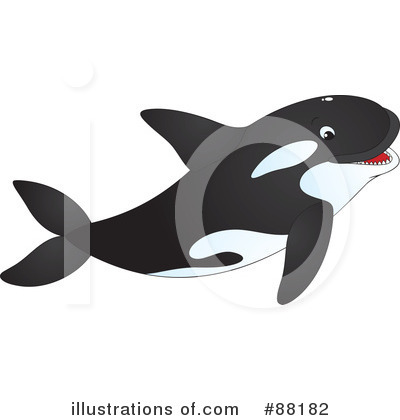 Killer Whale Clipart #88182 by Alex Bannykh