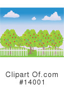 Orchard Clipart #14001 by Rasmussen Images