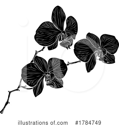 Orchid Clipart #1784749 by AtStockIllustration