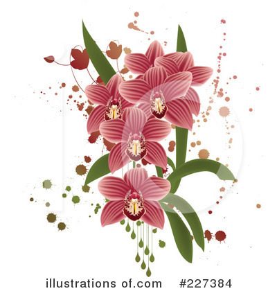 Royalty-Free (RF) Orchid Clipart Illustration by Eugene - Stock Sample #227384