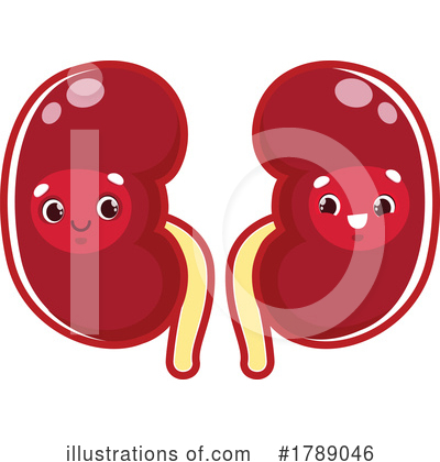 Kidneys Clipart #1789046 by Vector Tradition SM