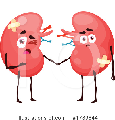 Kidneys Clipart #1789844 by Vector Tradition SM