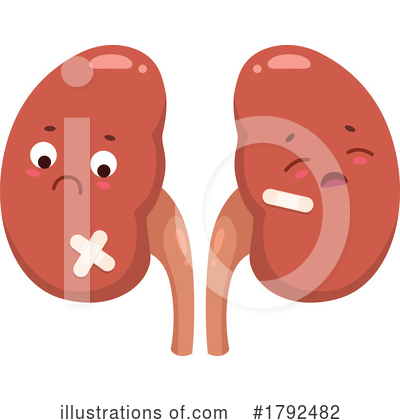 Kidneys Clipart #1792482 by Vector Tradition SM