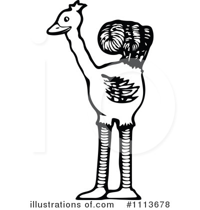 Royalty-Free (RF) Ostrich Clipart Illustration by Prawny Vintage - Stock Sample #1113678