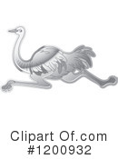 Ostrich Clipart #1200932 by Lal Perera