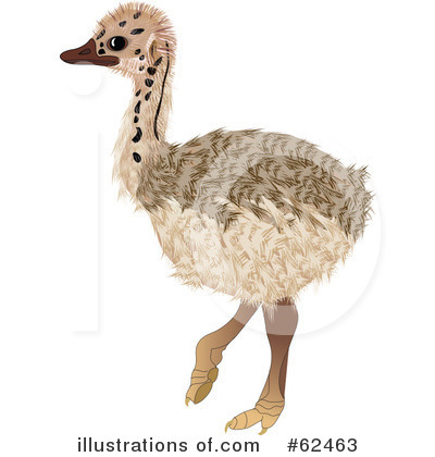 Ostrich Clipart #62463 by Pams Clipart