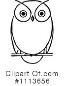 Owl Clipart #1113656 by Prawny Vintage