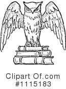 Owl Clipart #1115183 by Prawny Vintage