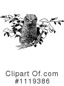 Owl Clipart #1119386 by Prawny Vintage