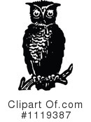 Owl Clipart #1119387 by Prawny Vintage
