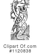 Owl Clipart #1120838 by Prawny Vintage