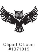 Owl Clipart #1371019 by xunantunich
