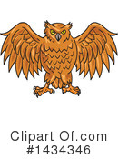Owl Clipart #1434346 by patrimonio