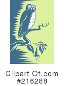 Owl Clipart #216288 by patrimonio