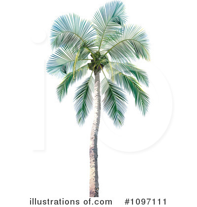 Royalty-Free (RF) Palm Tree Clipart Illustration by dero - Stock Sample #1097111