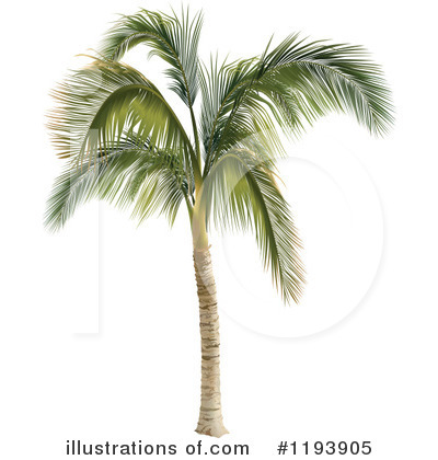 Royalty-Free (RF) Palm Tree Clipart Illustration by dero - Stock Sample #1193905