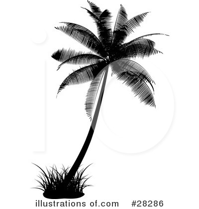 Royalty-Free (RF) Palm Tree Clipart Illustration by KJ Pargeter - Stock Sample #28286